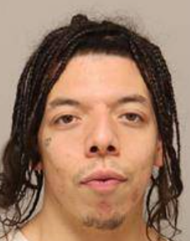 Michael Frank Papasodora mugshot