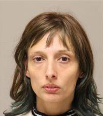 Mikayla Ann Pariseau mugshot