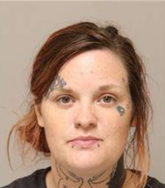 Sabrina Lee Ferdelman mugshot