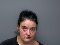 Andrea Genee Sanders mugshot