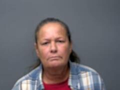 Charlene Danell Stevens mugshot