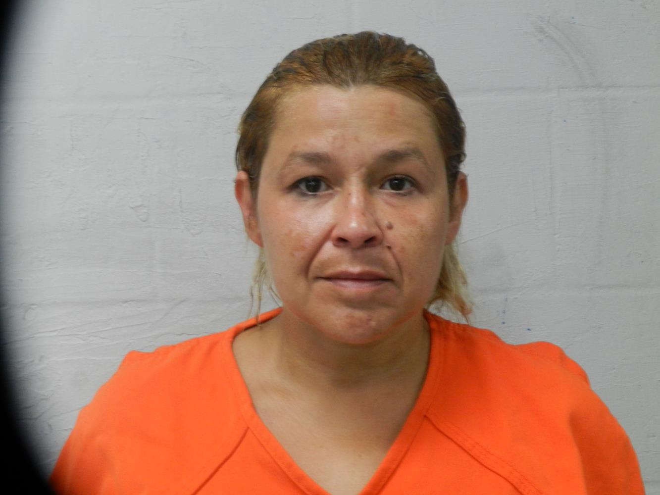 Maria Delcarmen Toro mugshot