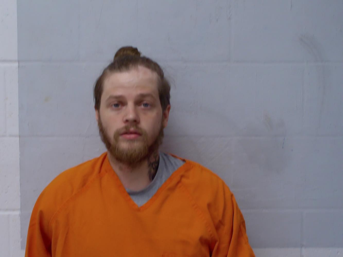 Ty Wayne Brooks mugshot