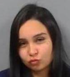 Misty Decoteau mugshot