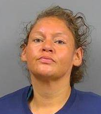 Shelly Hanson mugshot