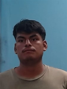 Andanin Antonio Anderon mugshot