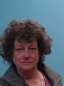 Dana Jeannie Bottini mugshot