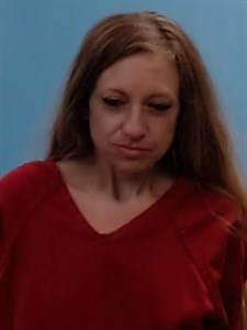 Kelly Ann Brown mugshot