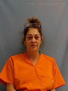 Jamie Lee Henderson mugshot