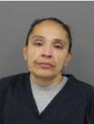 Jennifer Lee Martineau mugshot