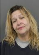 Theresa Kaye Lee mugshot
