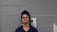 Robyn Michelle Sims mugshot