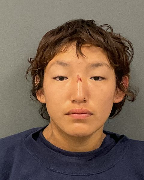 Alaynee Kay Gunville mugshot