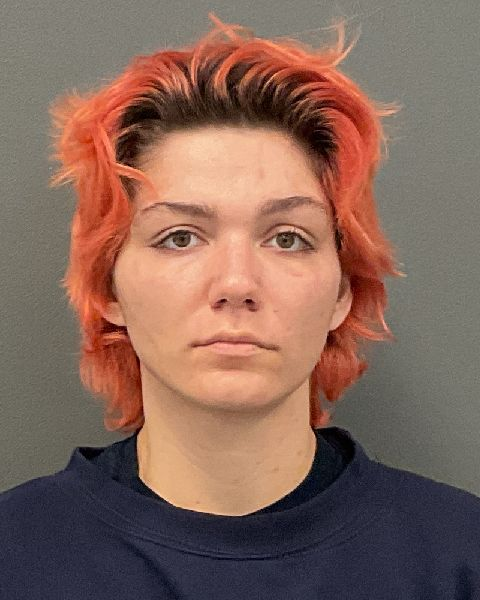 Shelby Fay Goodman mugshot