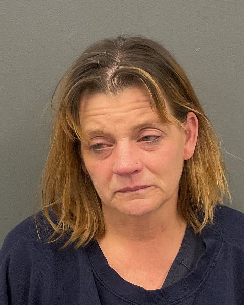 Theresa Ann Erickson mugshot