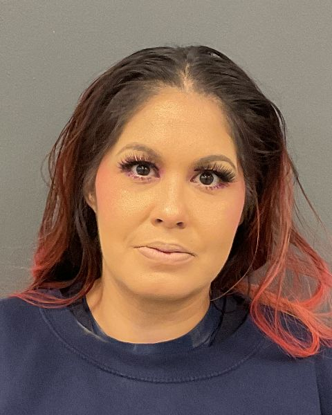 Tisha Gloria Mardelena Gonzales mugshot