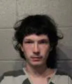 Gaven Blake Harrison mugshot