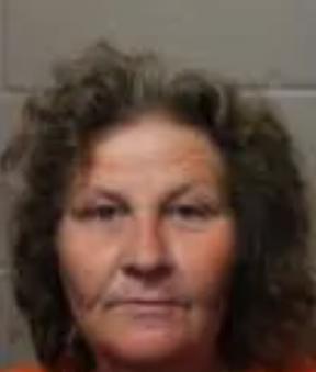 Kimberly Diane Austin mugshot
