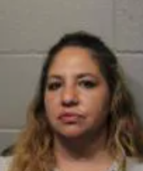 Natasha Evette Linderstein mugshot