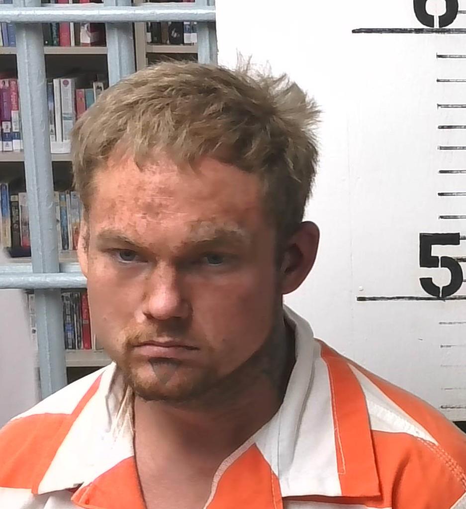 Dakota Wilson Braswell mugshot