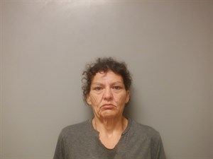 Brandy Renee Davis mugshot