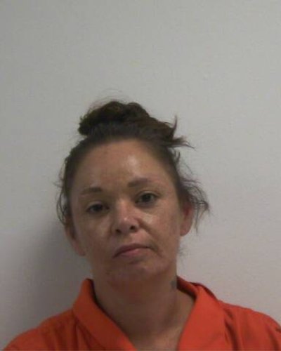 TAMARA DENISE HILL mugshot