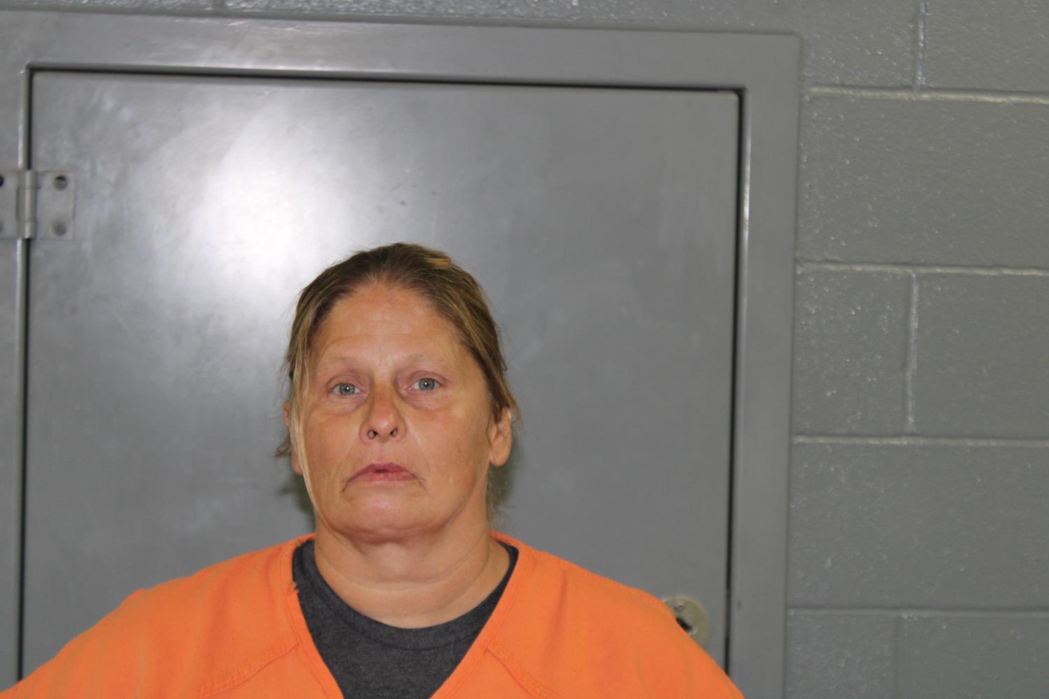 Amy Harris mugshot