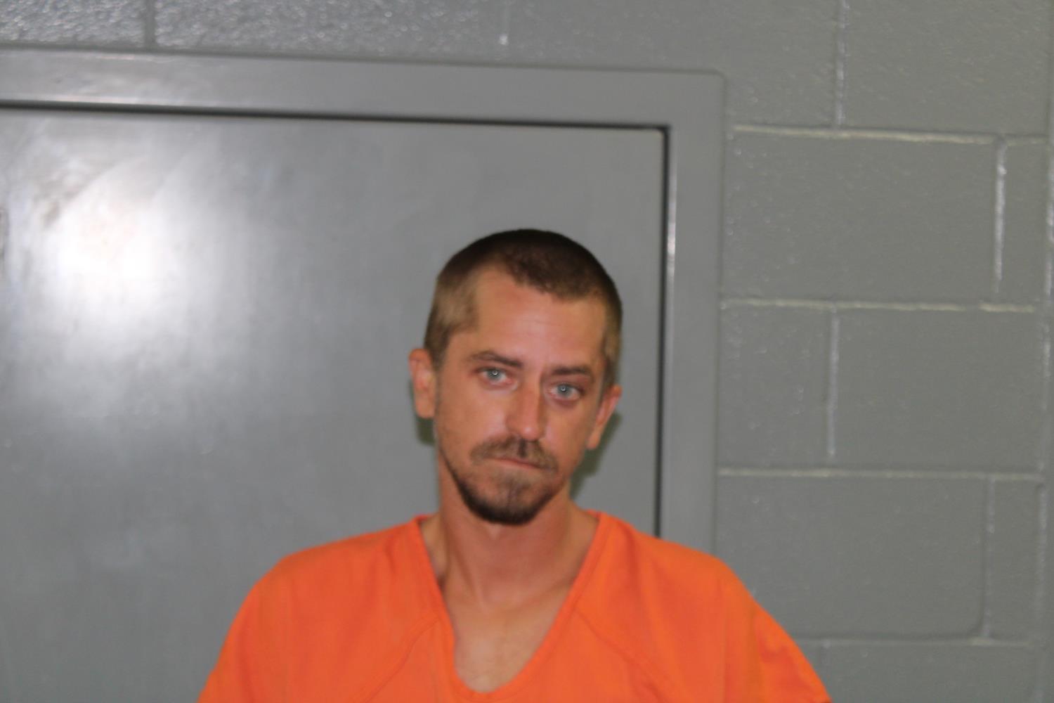 Andrew Stephen Mitchell mugshot