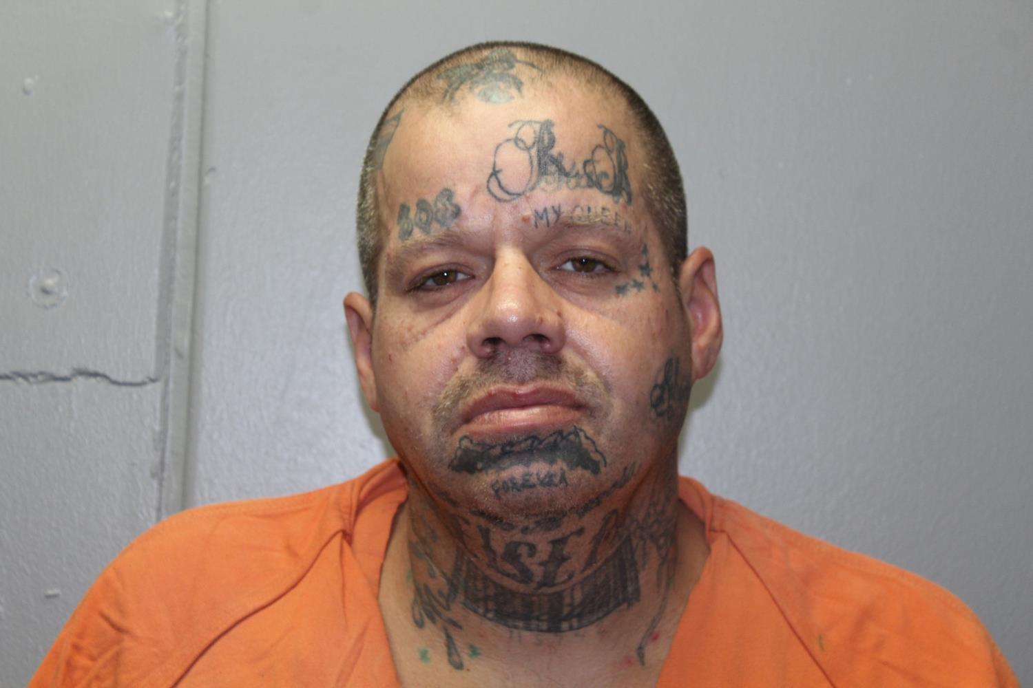 Craig Henry Borelis mugshot