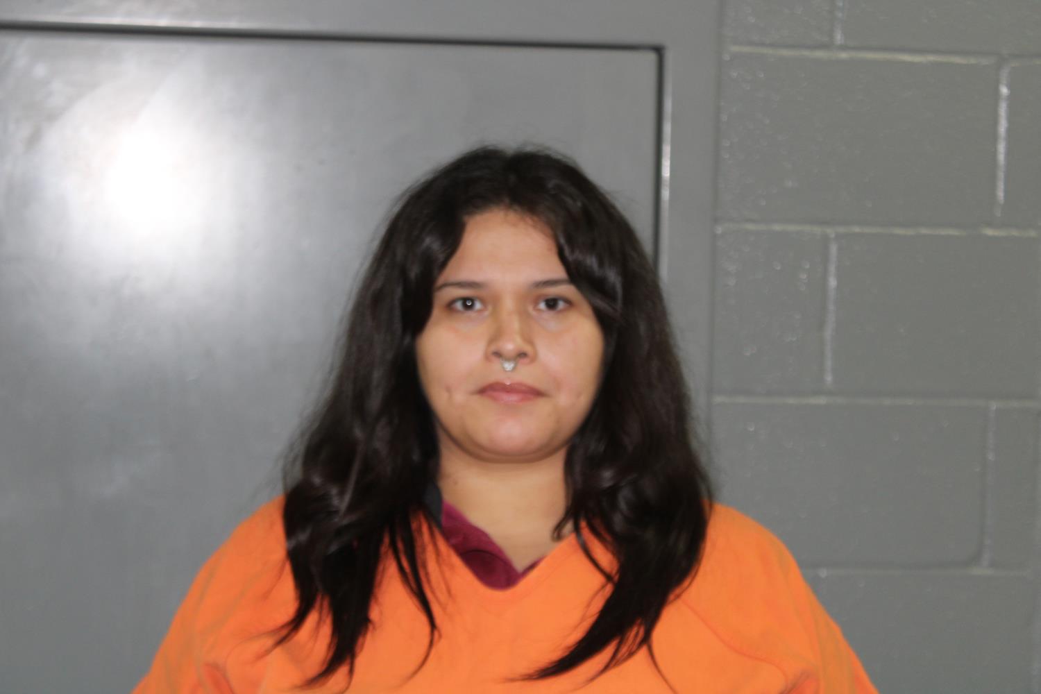 Eileen Renee Salcido mugshot