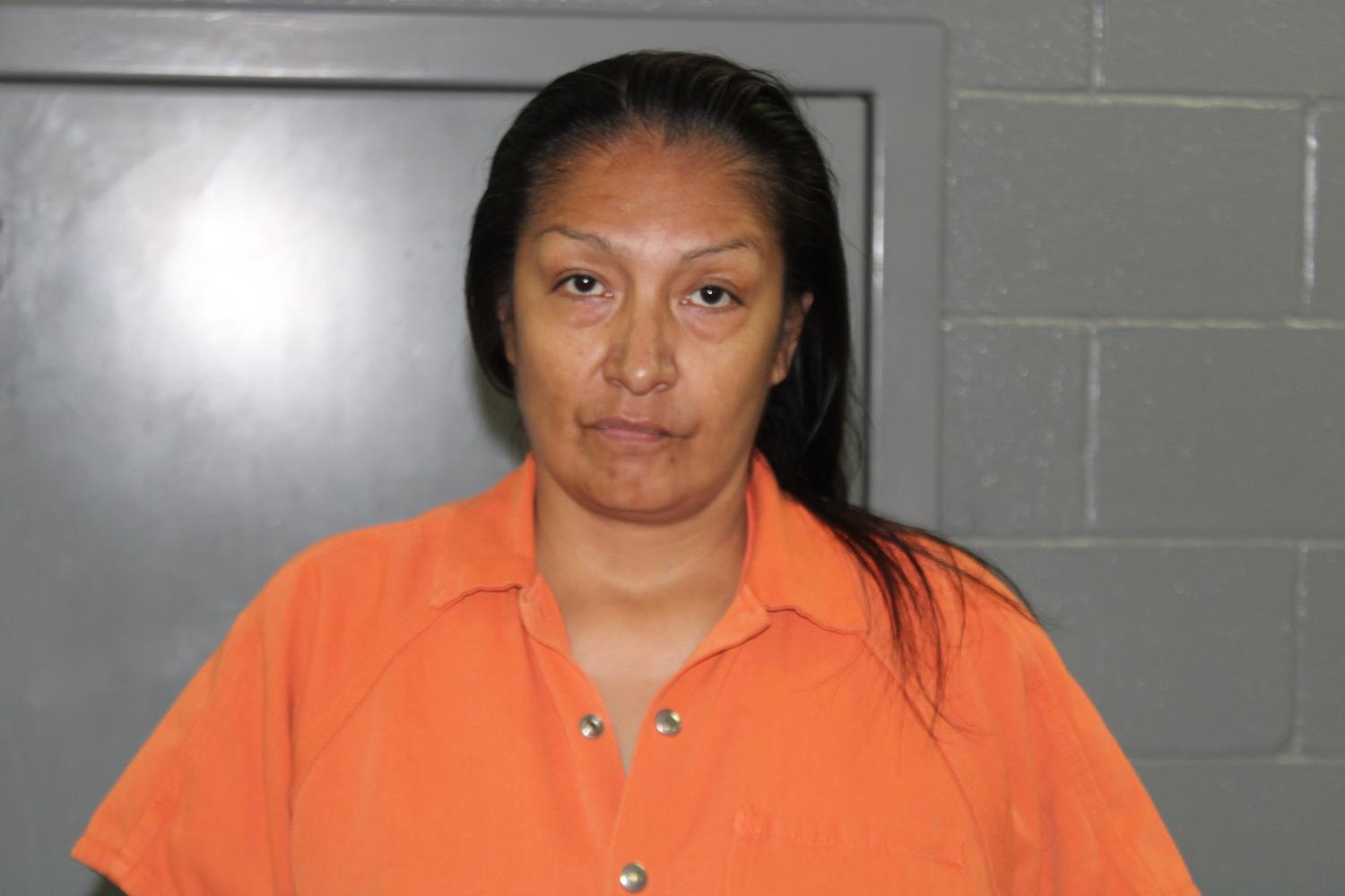 Laurie Ann Ellis mugshot