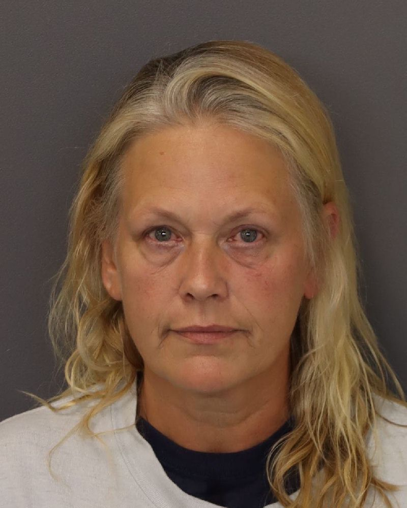 Kami Lynn Schauer mugshot