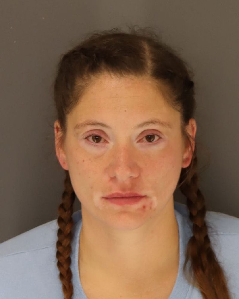 Leann Rene King mugshot