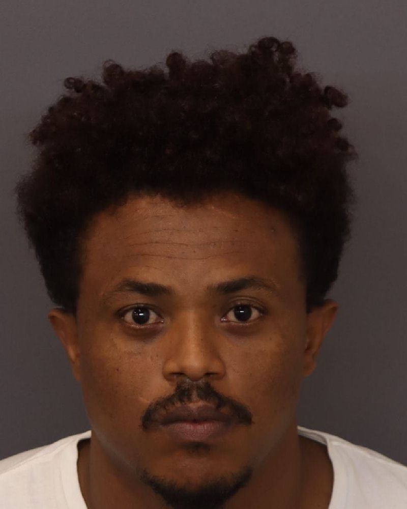 Tamesgen Michael Hiabu mugshot