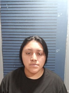 Nallely Odili Ramirez-Ordonez mugshot