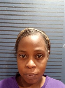 Whitney Nicole Collins mugshot