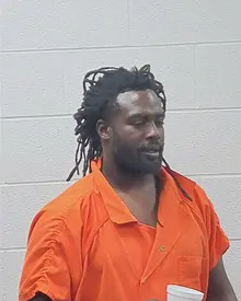 Danyell Brown mugshot