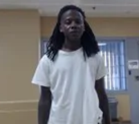 Tywan Grisby mugshot
