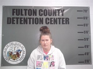 Monica Faye Rosenbaum mugshot
