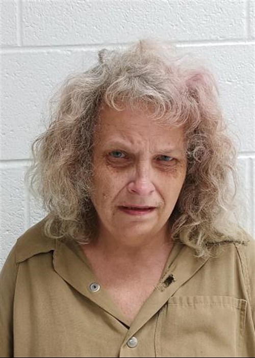 Barbara Jean Cowles mugshot