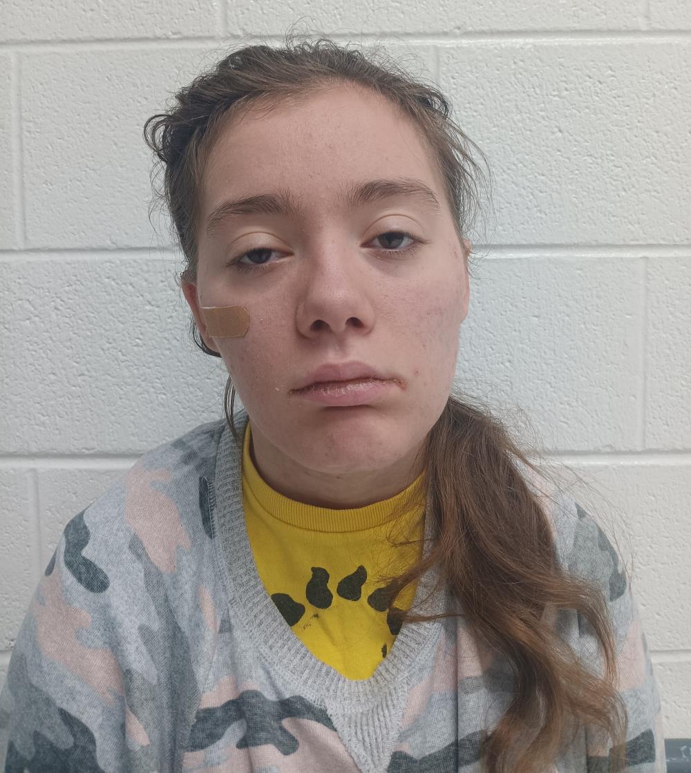 BreLinda Diane Miller mugshot