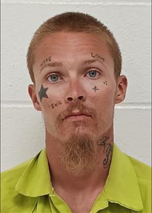 Chandler Reid Haughton mugshot