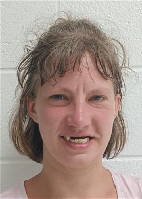 Heidi Ariana Leheup mugshot