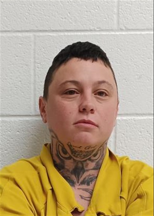 Taylor Jean Watson mugshot