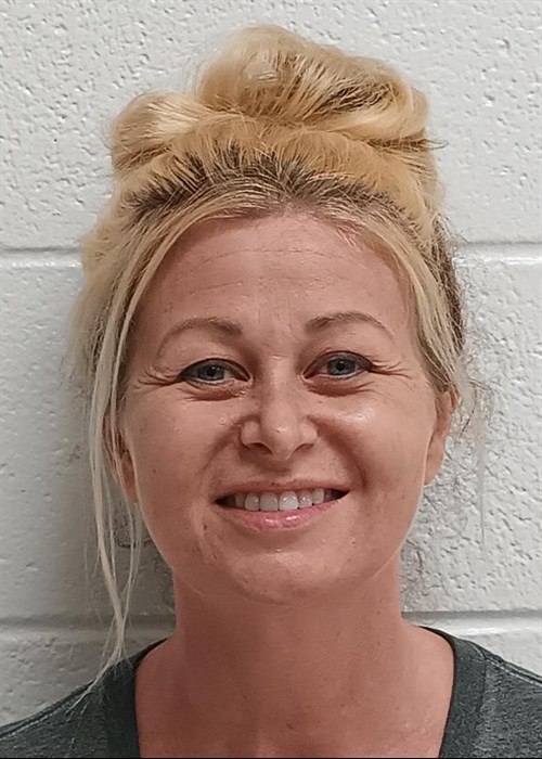 Virginia Sue Wilson mugshot