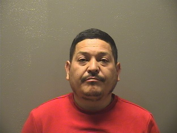 Yarlin Ortega mugshot