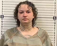 Anna Wilkinson mugshot