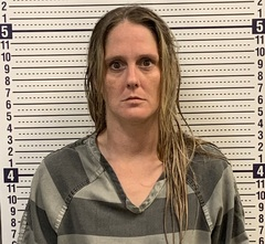 Brandy Phelps mugshot