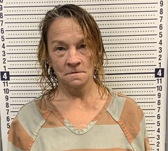 Carol Ybarbo mugshot