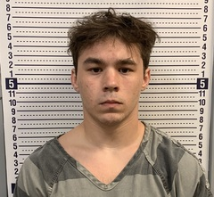 Jasper Owens mugshot
